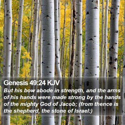 Genesis 49:24 KJV Bible Verse Image