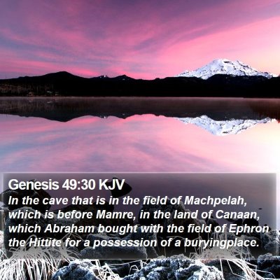 Genesis 49:30 KJV Bible Verse Image