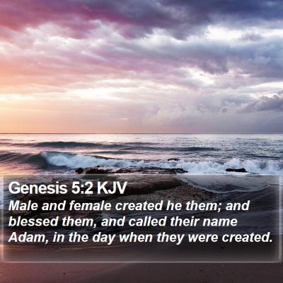 Genesis 5:2 KJV Bible Verse Image