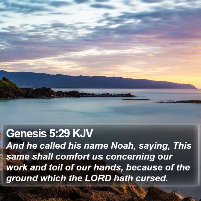 Genesis 5:29 KJV Bible Verse Image