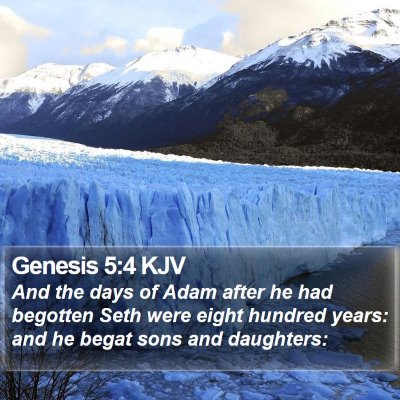 Genesis 5:4 KJV Bible Verse Image