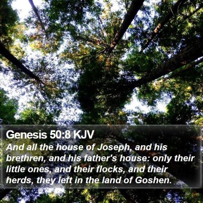 Genesis 50:8 KJV Bible Verse Image
