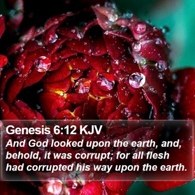 Genesis 6:12 KJV Bible Verse Image