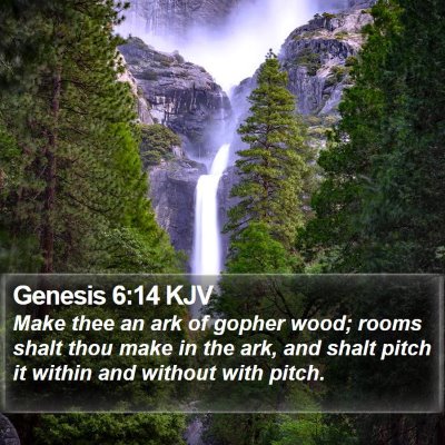 Genesis 6:14 KJV Bible Verse Image