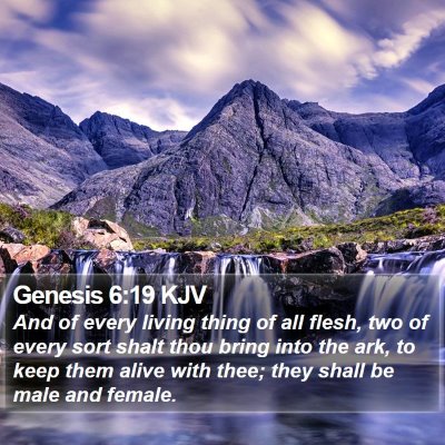 Genesis 6:19 KJV Bible Verse Image