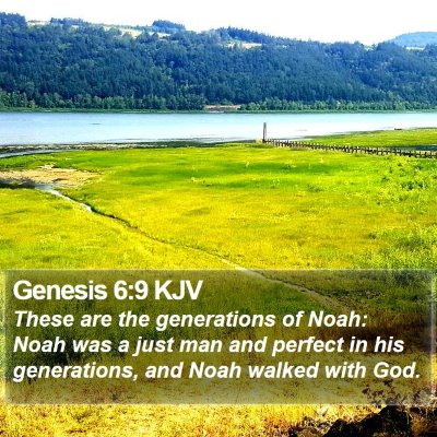Genesis 6:9 KJV Bible Verse Image