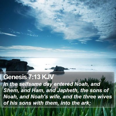 Genesis 7:13 KJV Bible Verse Image