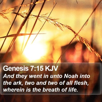Genesis 7:15 KJV Bible Verse Image