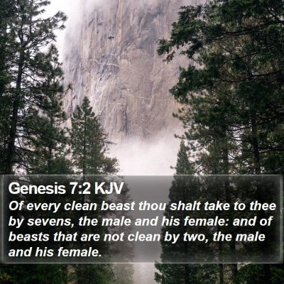 Genesis 7:2 KJV Bible Verse Image