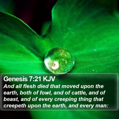 Genesis 7:21 KJV Bible Verse Image