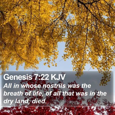 Genesis 7:22 KJV Bible Verse Image