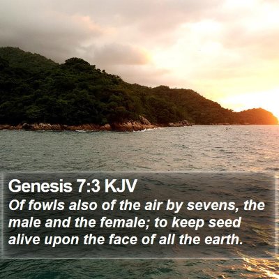 Genesis 7:3 KJV Bible Verse Image