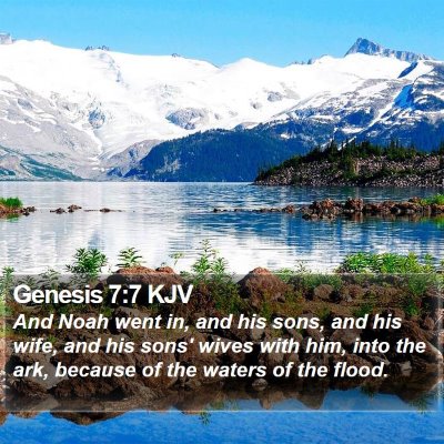 Genesis 7:7 KJV Bible Verse Image