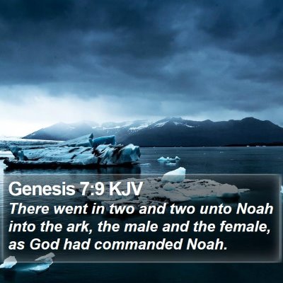 Genesis 7:9 KJV Bible Verse Image