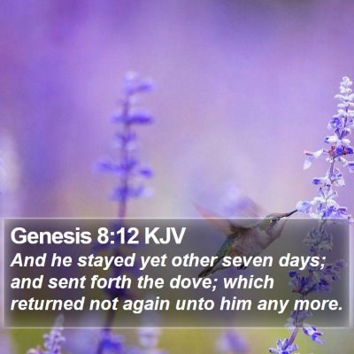 Genesis 8:12 KJV Bible Verse Image