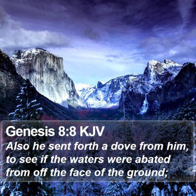 Genesis 8:8 KJV Bible Verse Image
