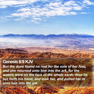 Genesis 8:9 KJV Bible Verse Image