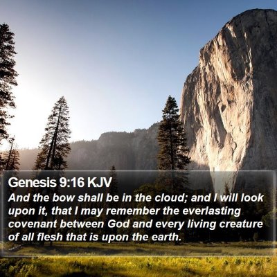 Genesis 9:16 KJV Bible Verse Image