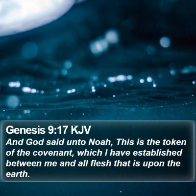 Genesis 9:17 KJV Bible Verse Image