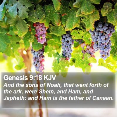 Genesis 9:18 KJV Bible Verse Image