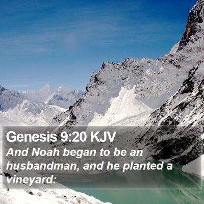 Genesis 9:20 KJV Bible Verse Image