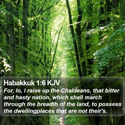 Habakkuk 1:6 KJV Bible Verse Image