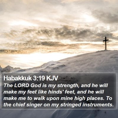 Habakkuk 3:19 KJV Bible Verse Image