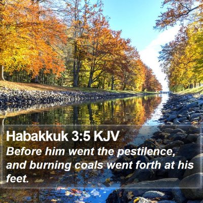 Habakkuk 3:5 KJV Bible Verse Image