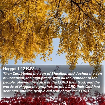 Haggai 1:12 KJV Bible Verse Image