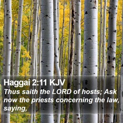 Haggai 2:11 KJV Bible Verse Image