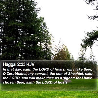 Haggai 2:23 KJV Bible Verse Image