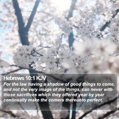 Hebrews 10:1 KJV Bible Verse Image