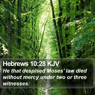 Hebrews 10:28 KJV Bible Verse Image