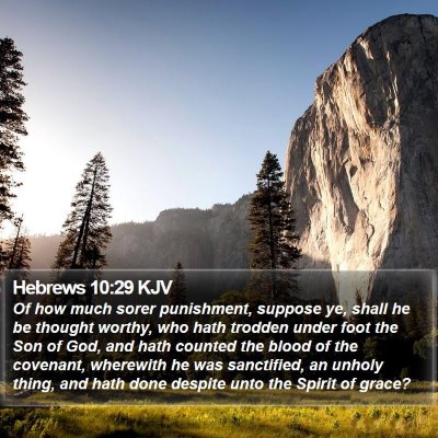 Hebrews 10:29 KJV Bible Verse Image
