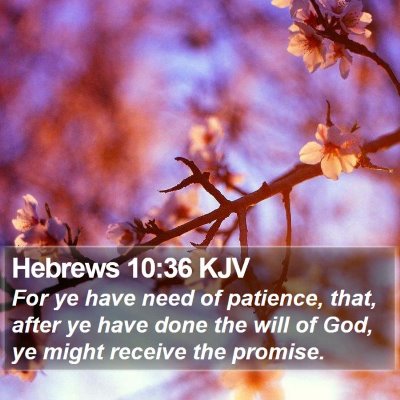 Hebrews 10:36 KJV Bible Verse Image
