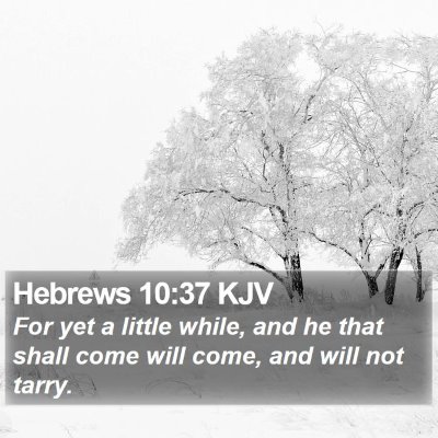 Hebrews 10:37 KJV Bible Verse Image