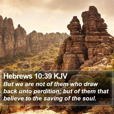 Hebrews 10:39 KJV Bible Verse Image