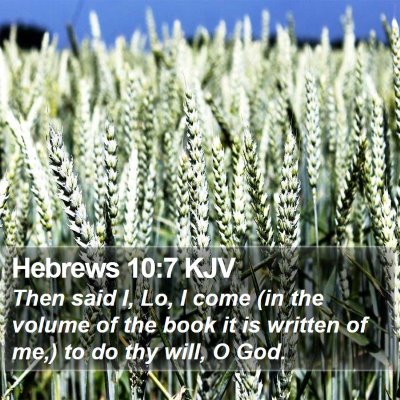 Hebrews 10:7 KJV Bible Verse Image
