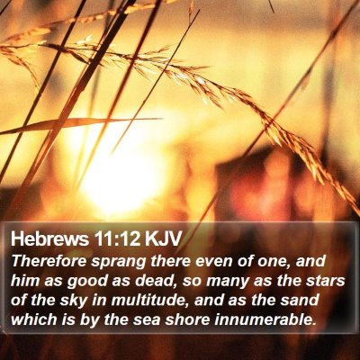 Hebrews 11:12 KJV Bible Verse Image