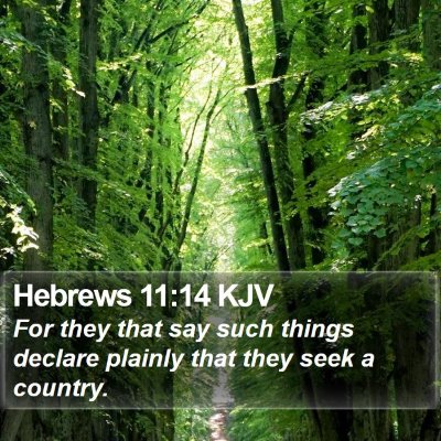 Hebrews 11:14 KJV Bible Verse Image