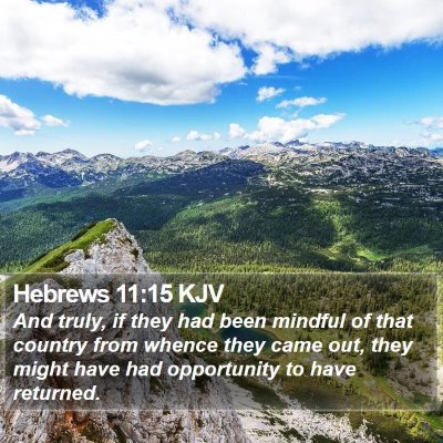 Hebrews 11:15 KJV Bible Verse Image