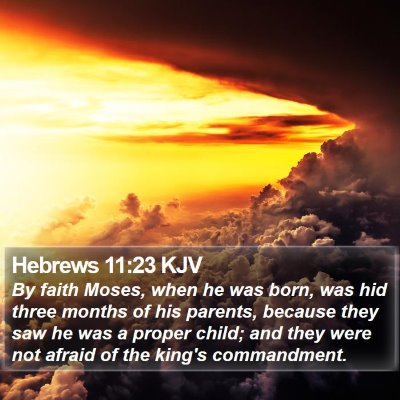 Hebrews 11:23 KJV Bible Verse Image