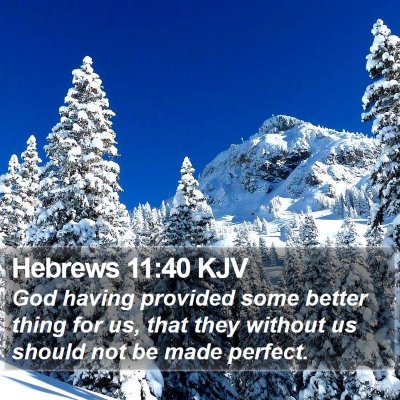 Hebrews 11:40 KJV Bible Verse Image