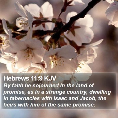 Hebrews 11:9 KJV Bible Verse Image
