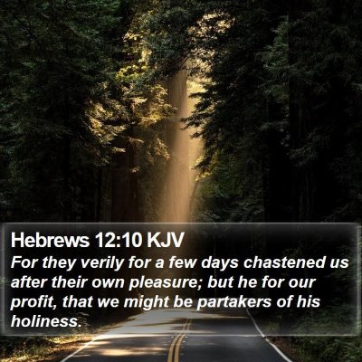 Hebrews 12:10 KJV Bible Verse Image