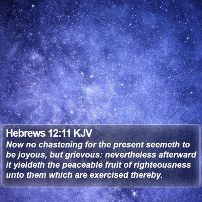 Hebrews 12:11 KJV Bible Verse Image