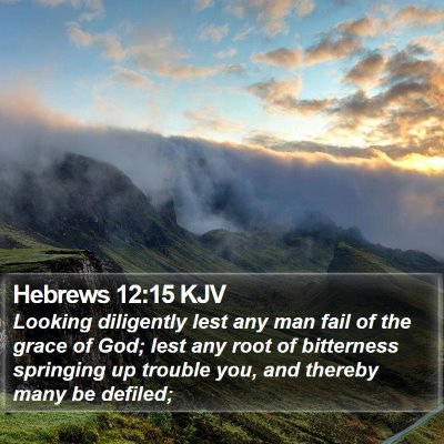 Hebrews 12:15 KJV Bible Verse Image