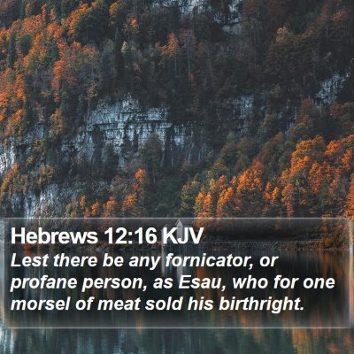 Hebrews 12:16 KJV Bible Verse Image