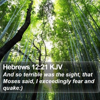Hebrews 12:21 KJV Bible Verse Image