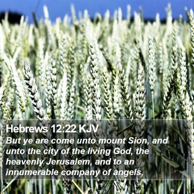 Hebrews 12:22 KJV Bible Verse Image